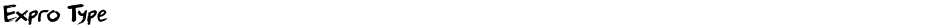 Expro TypeDemo