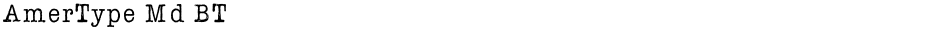 AmerType Md BTDemo