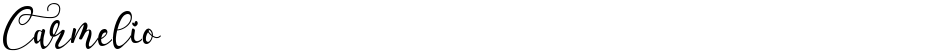 CarmelioDemo