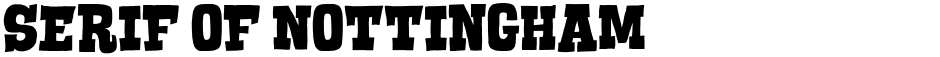 Serif of NottinghamDemo