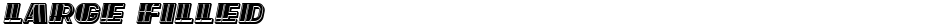 Large FilledDemo