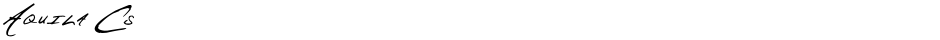 Aquila CsDemo