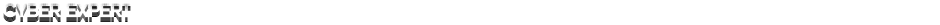 Cyber ExpertDemo