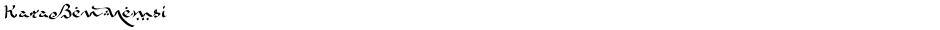 KaraBenNemsiDemo