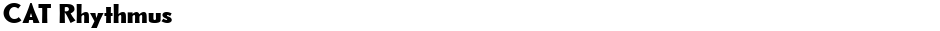 CAT RhythmusDemo