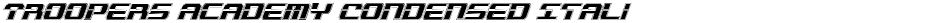 Troopers Academy Condensed ItalicDemo