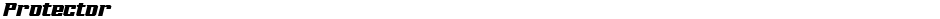 ProtectorDemo