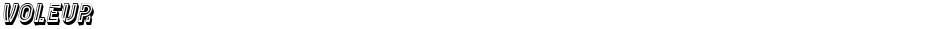 VoleurDemo