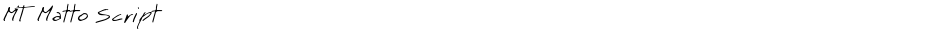 MT Matto ScriptDemo