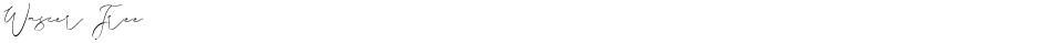 Wascer FreeDemo