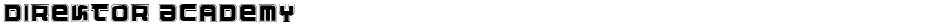 Direktor AcademyDemo