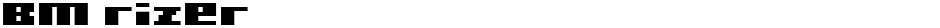 BM rizerDemo