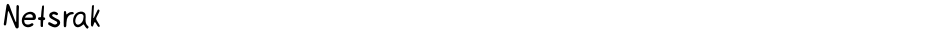 NetsrakDemo