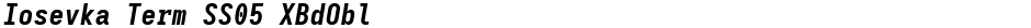 Iosevka Term SS05 XBdOblDemo