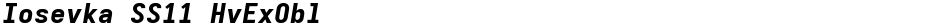 Iosevka SS11 HvExOblDemo