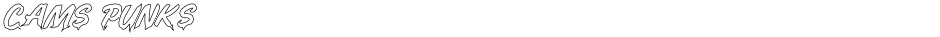 CAMS PUNKSDemo