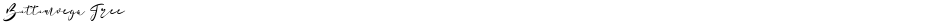 Bottomvega FreeDemo