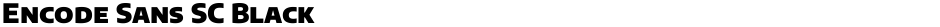 Encode Sans SC BlackDemo