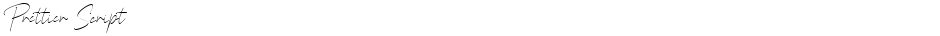 Prettier ScriptDemo