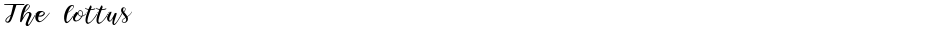 The lottusDemo