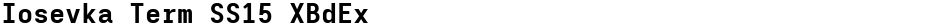Iosevka Term SS15 XBdExDemo