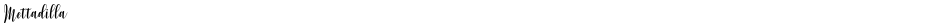 MettadillaDemo