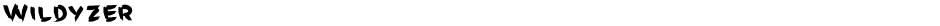 WildyzerDemo