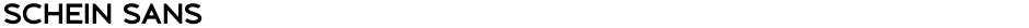 Schein SansDemo