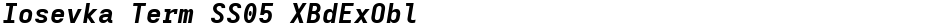 Iosevka Term SS05 XBdExOblDemo