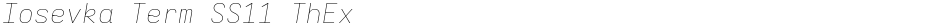 Iosevka Term SS11 ThExDemo