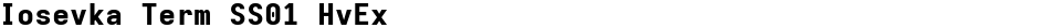 Iosevka Term SS01 HvExDemo