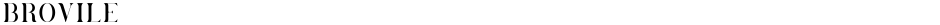 BrovileDemo