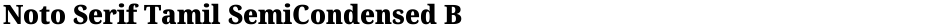 Noto Serif Tamil SemiCondensed BlackDemo