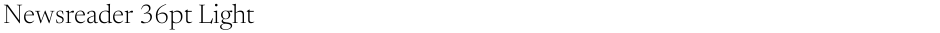 Newsreader 36pt LightDemo