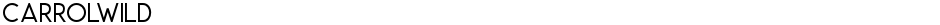 CarrolWildDemo