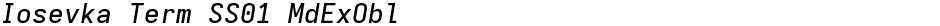 Iosevka Term SS01 MdExOblDemo