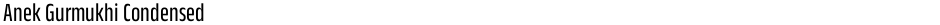 Anek Gurmukhi CondensedDemo