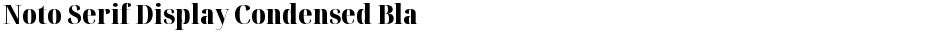 Noto Serif Display Condensed BlackDemo