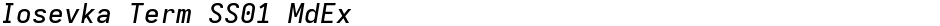 Iosevka Term SS01 MdExDemo