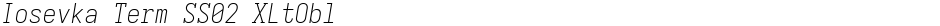 Iosevka Term SS02 XLtOblDemo