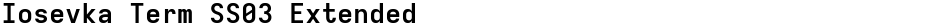 Iosevka Term SS03 ExtendedDemo
