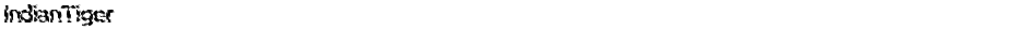 IndianTigerDemo