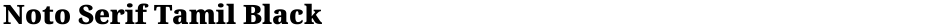 Noto Serif Tamil BlackDemo