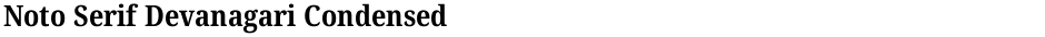 Noto Serif Devanagari CondensedDemo