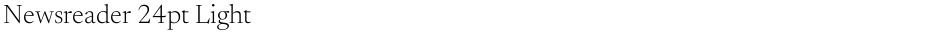 Newsreader 24pt LightDemo
