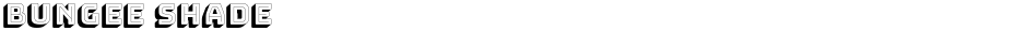 Bungee ShadeDemo