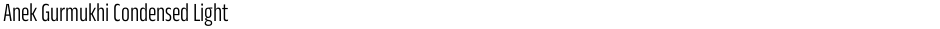 Anek Gurmukhi Condensed LightDemo