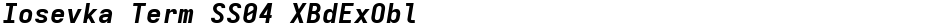 Iosevka Term SS04 XBdExOblDemo