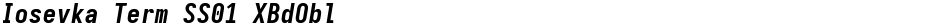Iosevka Term SS01 XBdOblDemo