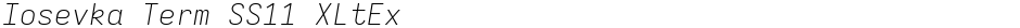 Iosevka Term SS11 XLtExDemo